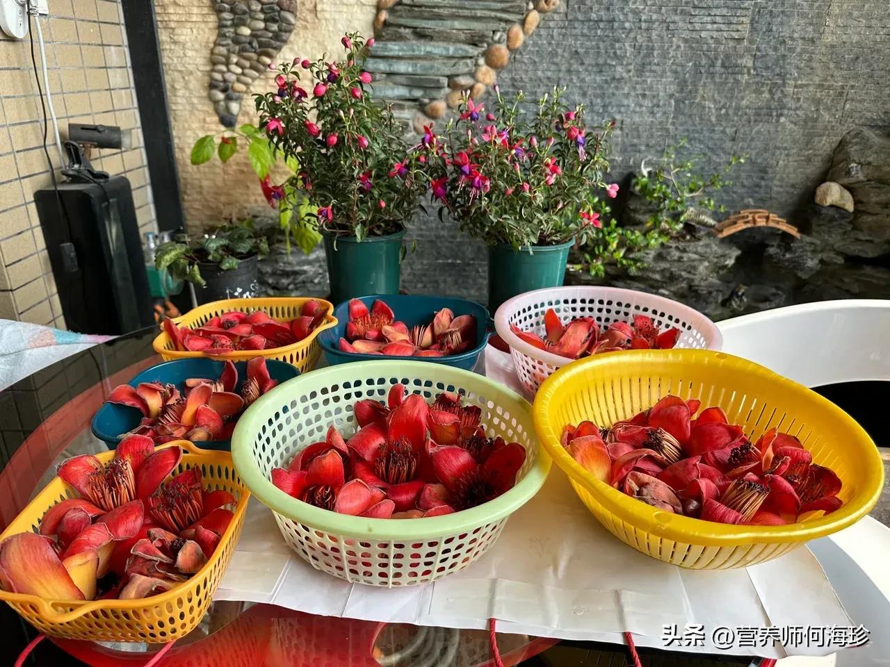 老人稱它為“英雄花”，又有“祛濕花”之稱，遇見都會撿些帶回家